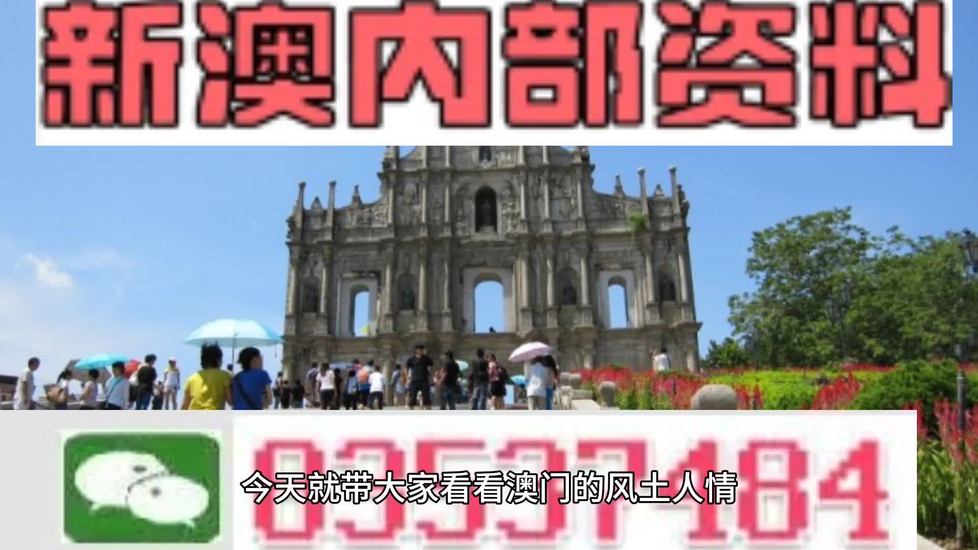 新澳2024年精准一肖一码|词语释义解释落实