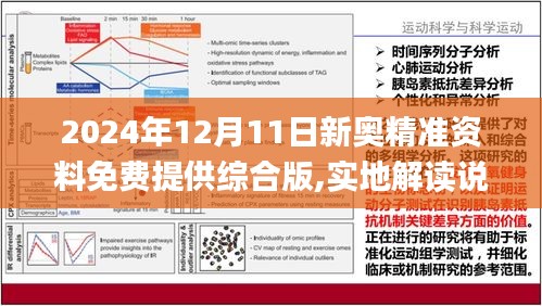 2024新奥资料免费精准109|词语释义解释落实