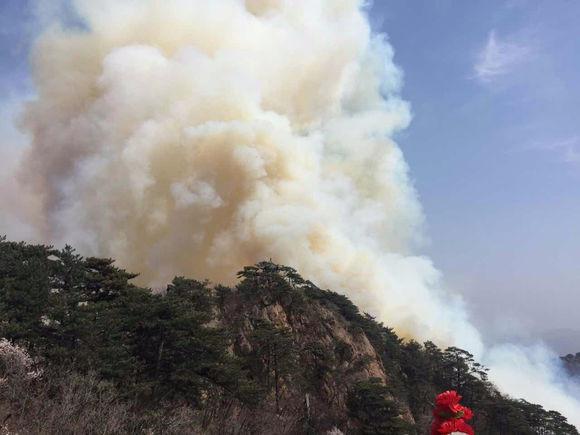 千山火灾最新消息，全面应对，众志成城