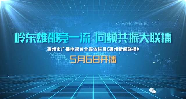 关于新澳门今晚必开一肖一特，全面解析与落实的探讨（不少于1016字）