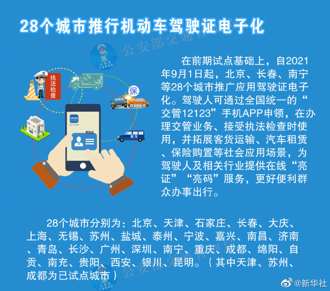 白小姐精准免费四肖，全面解析与落实策略