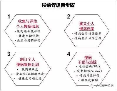 新澳精准资料免费提供，全面解析与深入落实的第208期展望