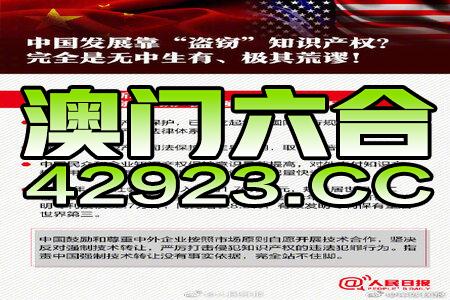 新澳精准资料免费提供，解析落实与精选解释的第221期深度洞察