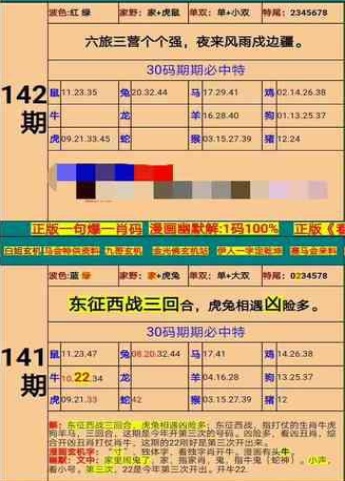 新澳门精准四肖期期准，词语释义、解释与落实